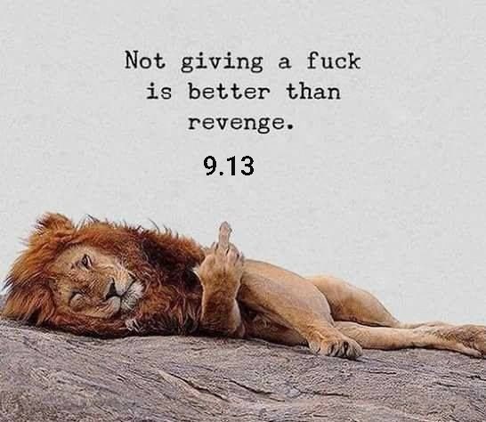 da13thsun's tweet photo. Sometimes it's better to just ignore fools and continue taking them to school. https://t.co/7B2PL2cslm