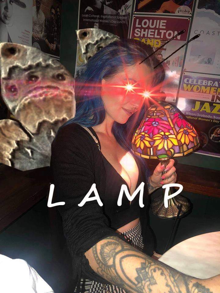 aydanrei's tweet photo. #mothmeme the last 12 months has been wild https://t.co/50kT1uEpir