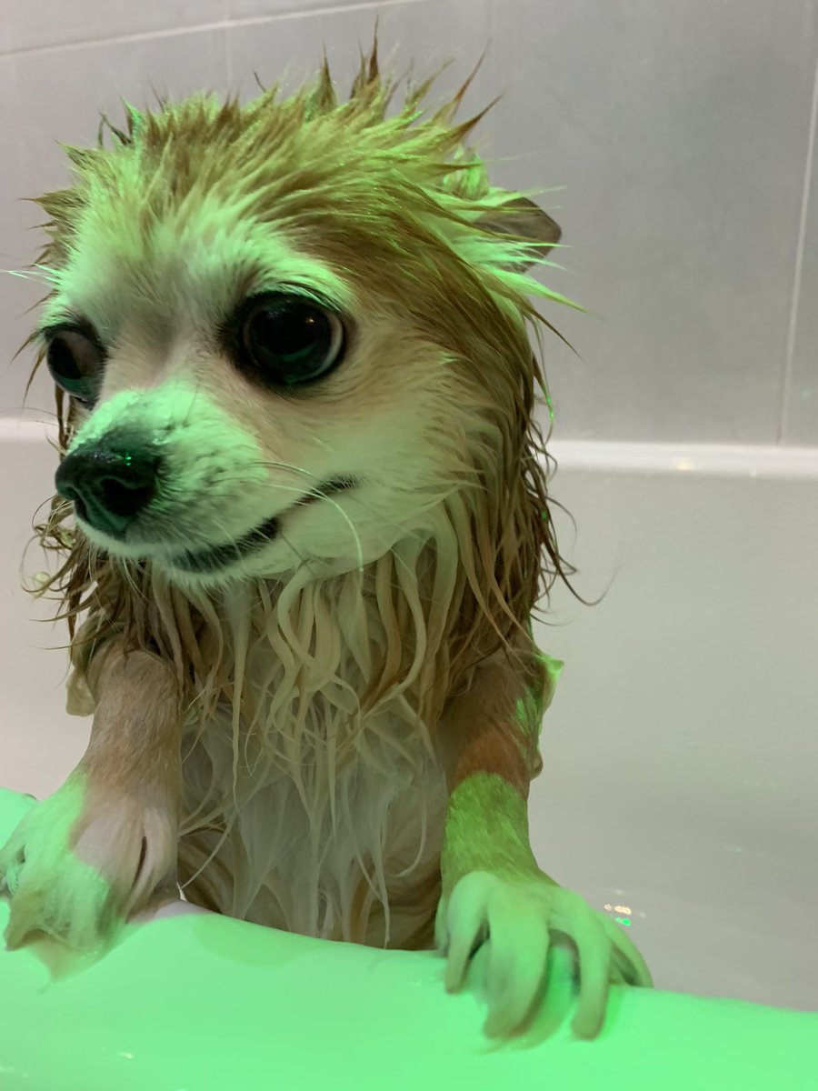 R̷͔̔̓͌̾͛̄̓̚͝ ⛧ B 🇵🇸 tweet media