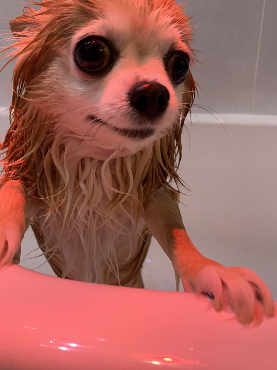 R̷͔̔̓͌̾͛̄̓̚͝ ⛧ B 🇵🇸 tweet media