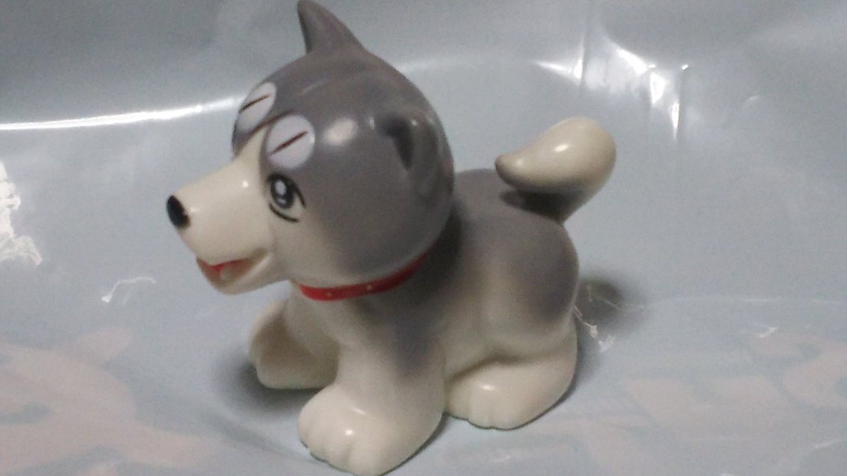 レッドシャーク