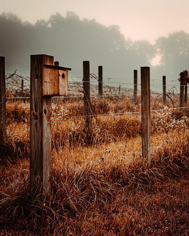 One more in this series. ift.tt/36mJiT2