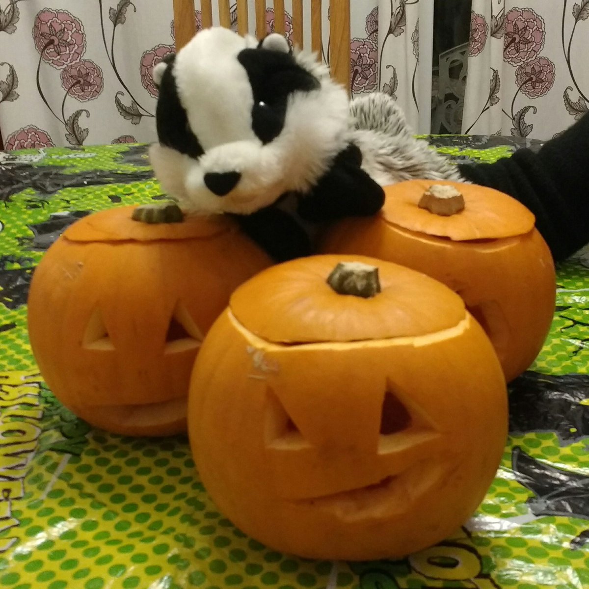 Happy Hallowe'en from my humans and me!