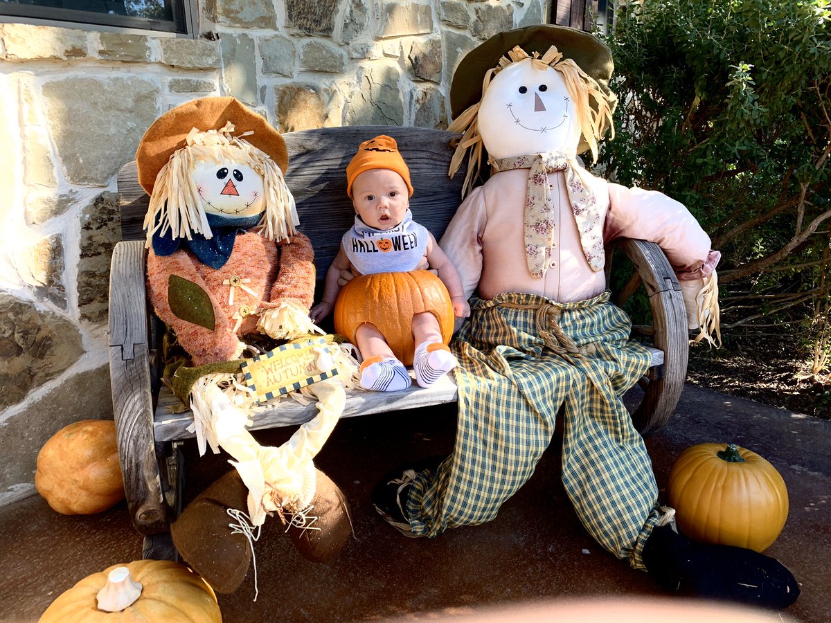 makayla_hazen's tweet photo. happy hall🎃ween https://t.co/bpsVgWLRBf