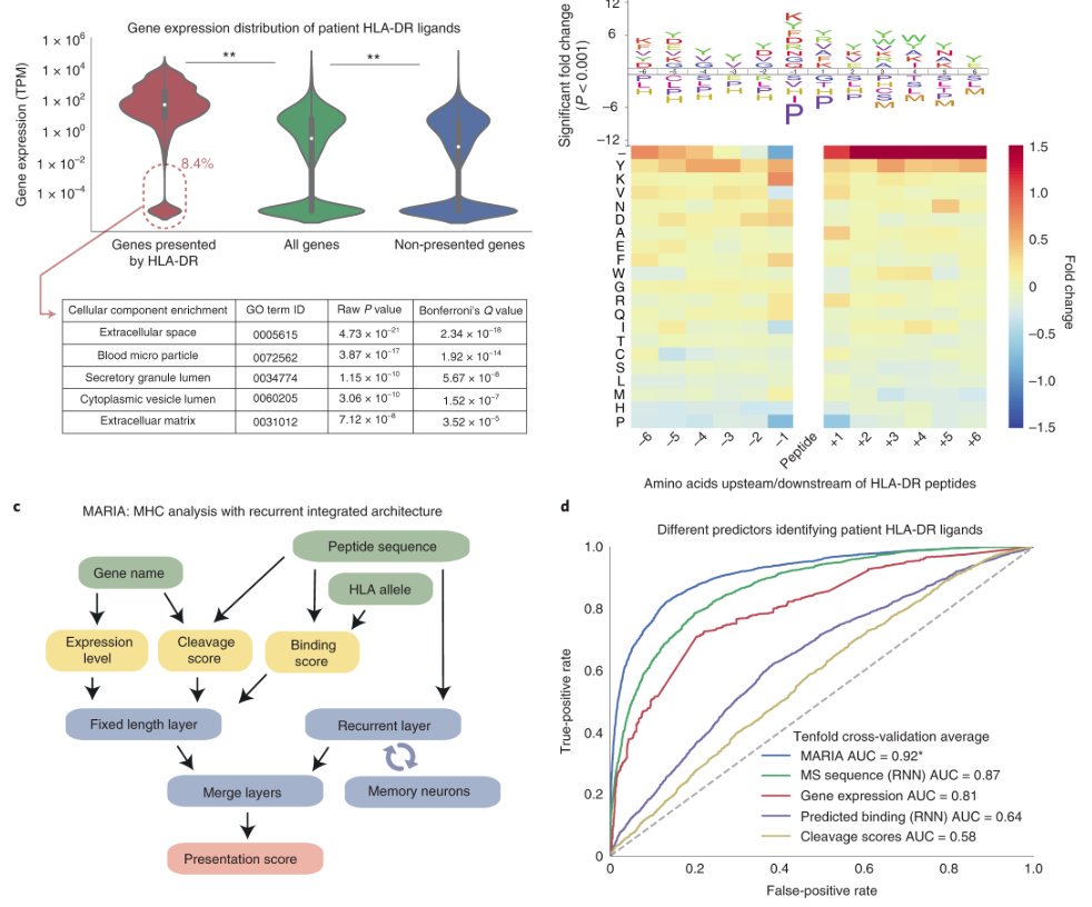 mmw_lmw's tweet photo. #Oct2019_ReCap | #HLA_Class II #Antigen_Presentation | Predicting immunogenic peptides through #Integrated_DeepLearning | Features, model architecture and validation performance | Ash Alizadeh @Stanford @NatureBiotech https://t.co/ieWtZvE7Nm https://t.co/Hga4NXq9Mc