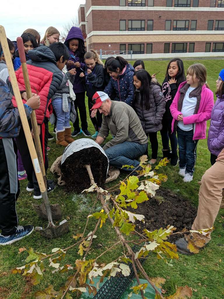 D60RetiredLotz's tweet photo. Thanks to Kelsay from Possibility Place Nursery for donating 3 oaks to Maercker School and to Jon from Westmont for their help planting with the Ecology Club! #d60learns https://t.co/tjw9WM1Jyn