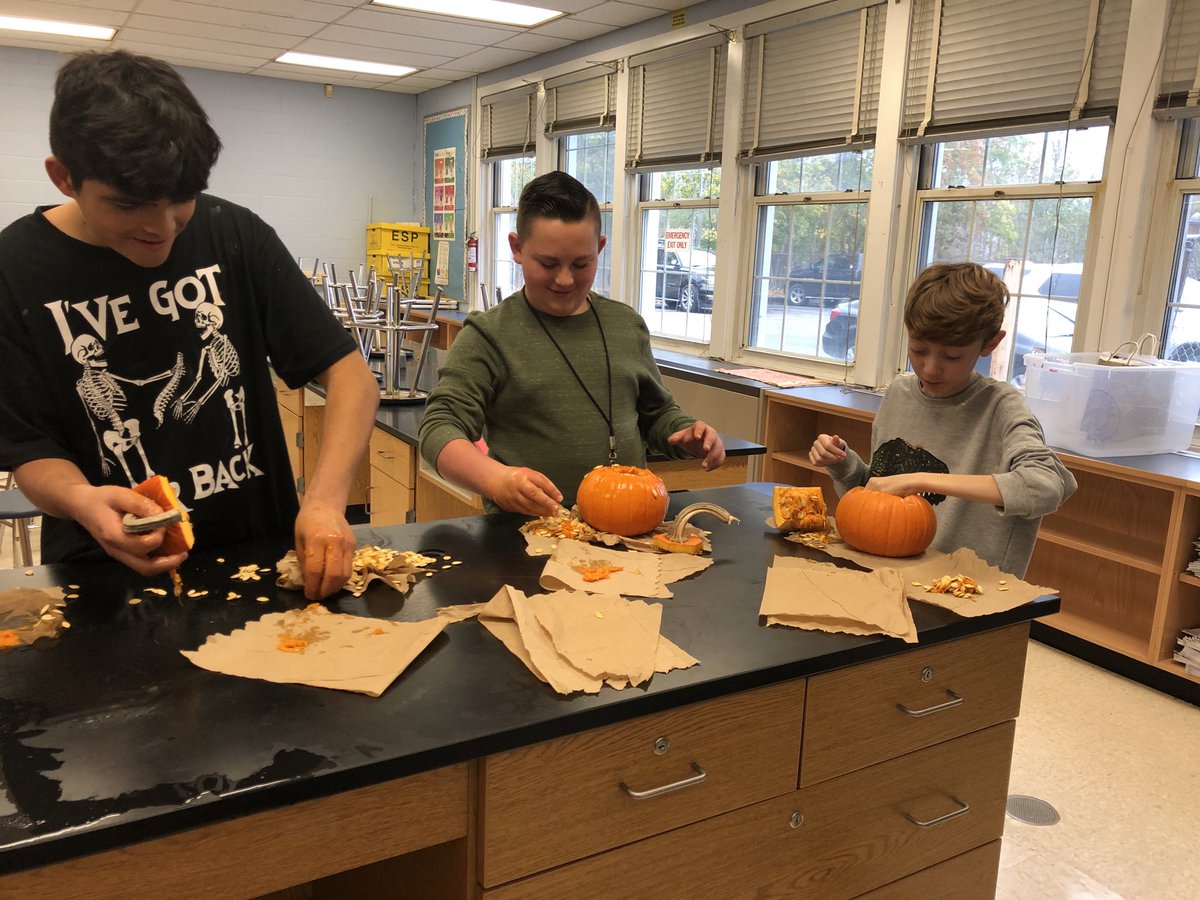 Science class finding the mass of pumpkin seeds and gooey pumpkin insides! ⁦<a href="/EastMorichesSD/">EMOschools</a>⁩ ⁦<a href="/EMorichesMS/">East Moriches MS</a>⁩
