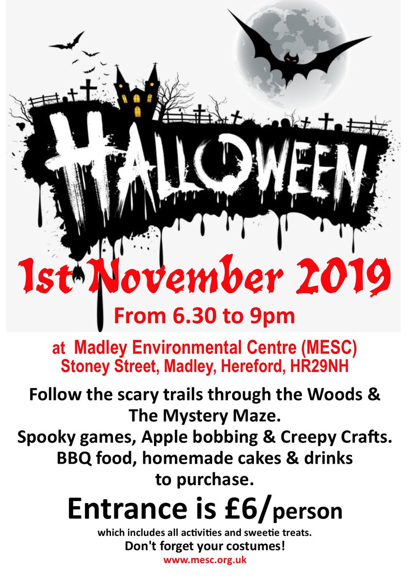 Its on come rain or shine!!
It’s dry in our woods!!