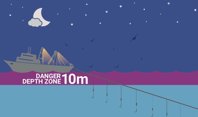 BMIS_bycatch's tweet image. #seabird #bycatch on #longlines can be reduced by using night-setting in conjunction with streamer lines &amp;amp; line-weighting. Updated factsheet from Birdlife International &amp;amp; ACAP bmis-bycatch.org/references/5li…