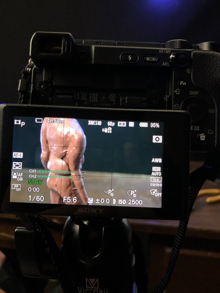 DoctorGaruda's tweet image. ...