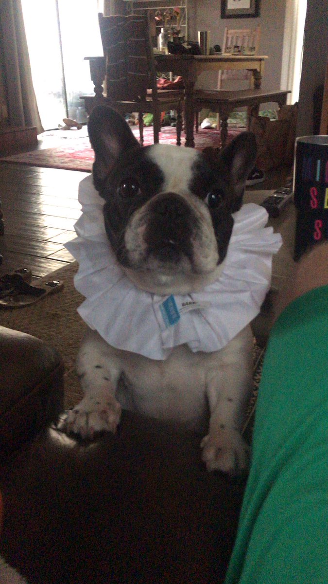 “”Though she be but little, she is fierce”-William Shakespeare”
-Myla
#HappyHalloween