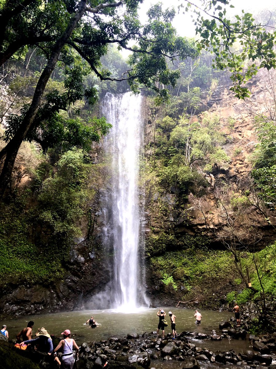 AltTravelBlog's tweet image. Yesterday we kayaked and hiked through a torrential downpour to the sacred Secret Waterfall. Worth every mud puddle, chest-high river crossing, and knee-depth water-flooded trail. Made it out moments before flash flood notices.

#hikingadventures #kauai