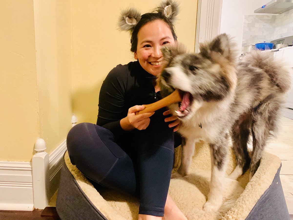VoixdeDelphine's tweet photo. Who wears them better? #ThemEars #Halloween2019 https://t.co/OWOJJdBmZQ