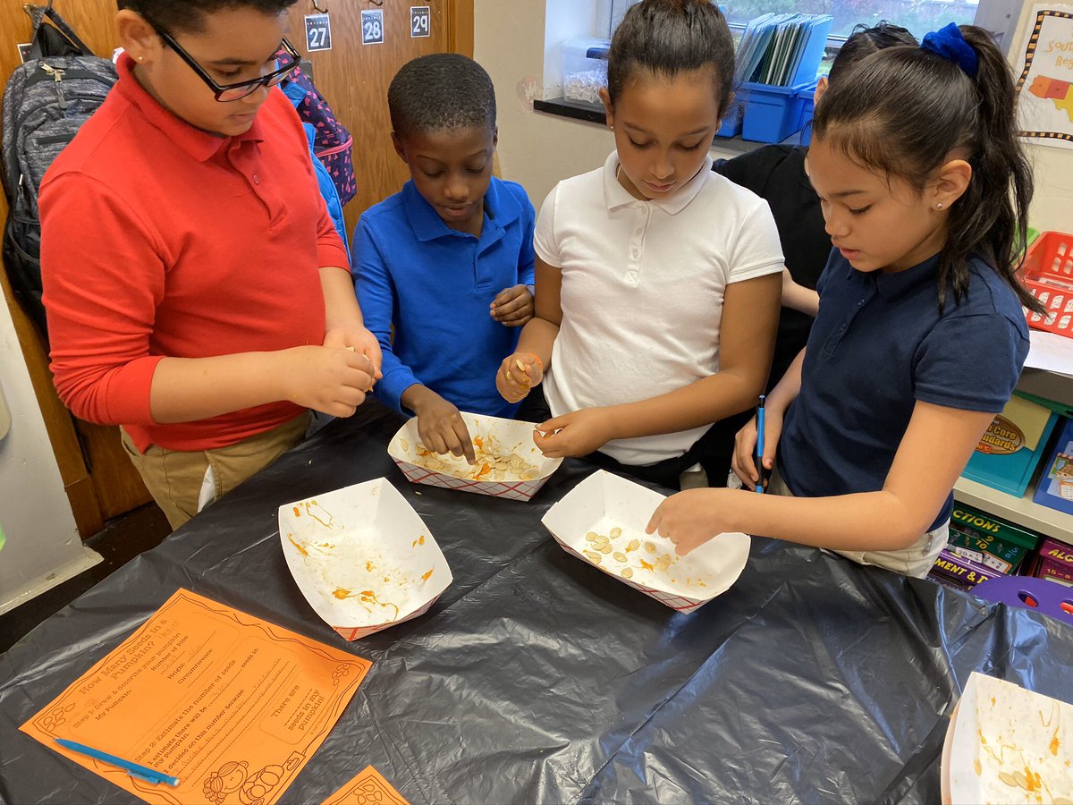MrPhelpsRSD's tweet photo. Glenside fourth graders took part in some pumpkin fun today, finding the height and circumference of their pumpkins as well as estimating the amount of seeds in their pumpkins. 
Bringing some fall fun into math! #rsdproud #RSDNewsCrew #teamGlenside https://t.co/2YPOtrs5P4