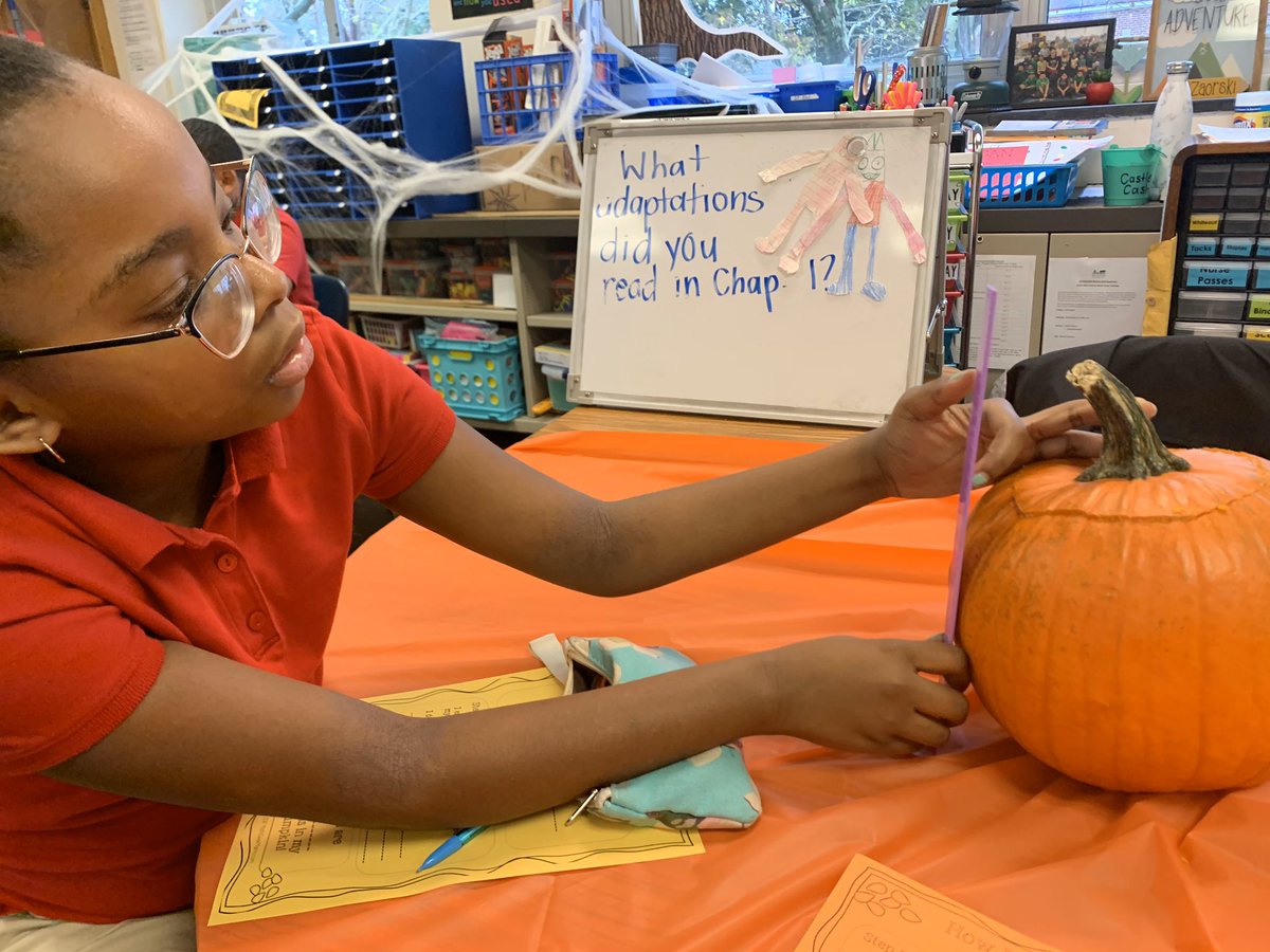 MrPhelpsRSD's tweet photo. Glenside fourth graders took part in some pumpkin fun today, finding the height and circumference of their pumpkins as well as estimating the amount of seeds in their pumpkins. 
Bringing some fall fun into math! #rsdproud #RSDNewsCrew #teamGlenside https://t.co/2YPOtrs5P4