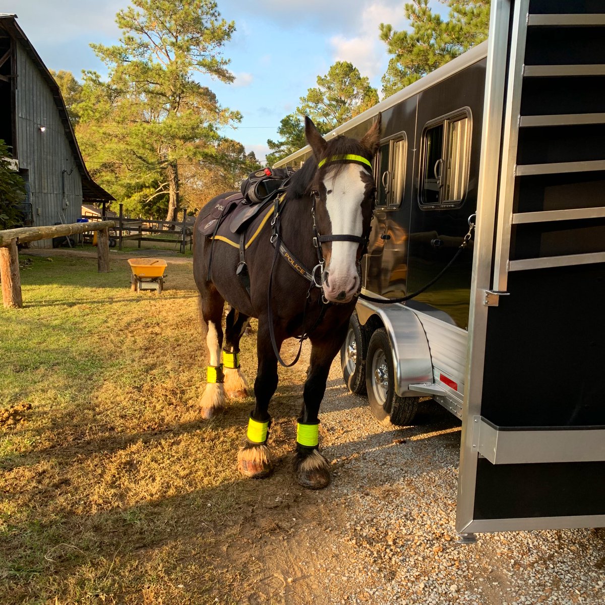 Della is Patrol ready!