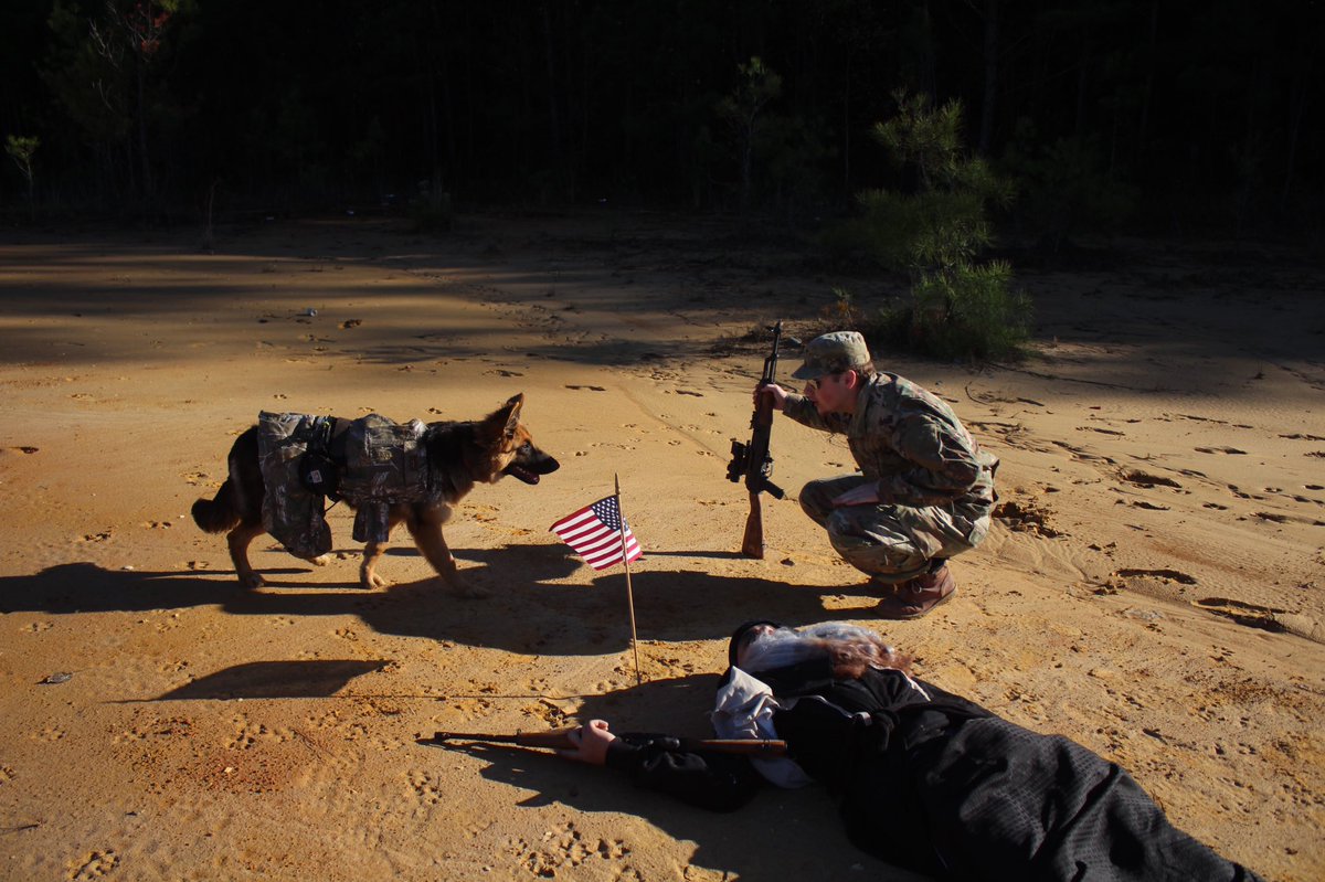 RossWhitfield tweet media