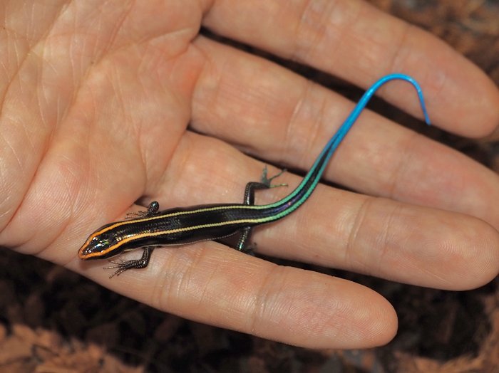 Endlesszone_エンドレスゾーン_ on X