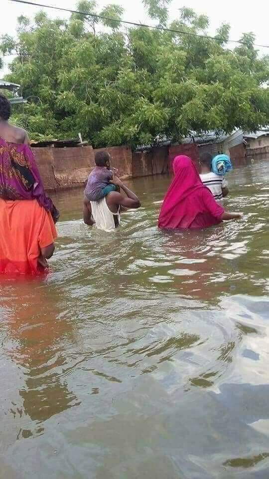 IcarNur's tweet photo. Op dit moment is er een humanitaire ramp in mijn geboorteland. #FSAN (Federatie van Somalische Associaties Nederland) is gestart met een initiatief om geld in te zamelen voor het getroffen gebied. Support de slachtoffers en doneer!
Retweet en 🇸🇴🇸🇴 #HelpSomalia #floods https://t.co/155esQS5tq