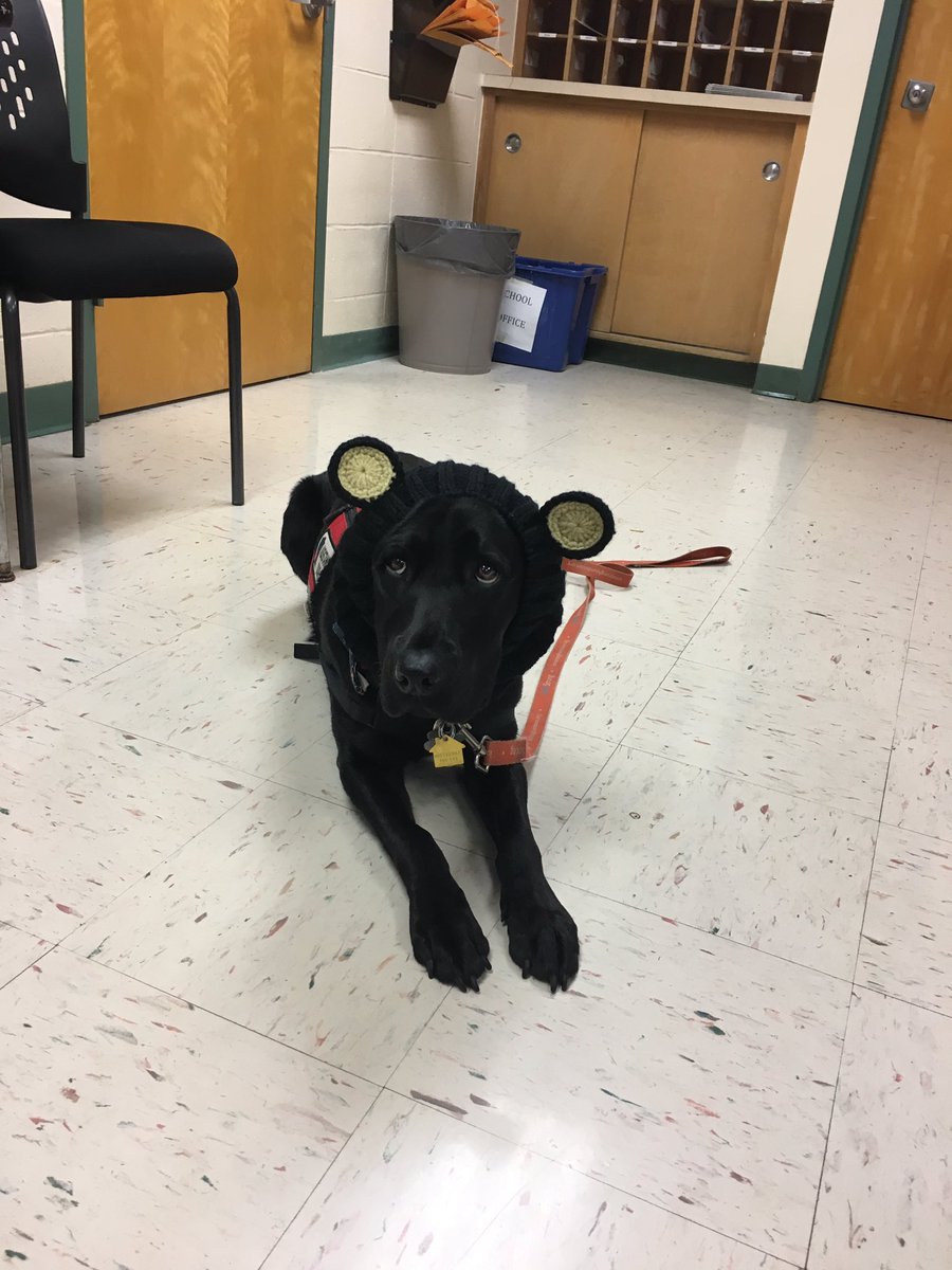 millishigh's tweet image. Happy Halloween from Millis High!