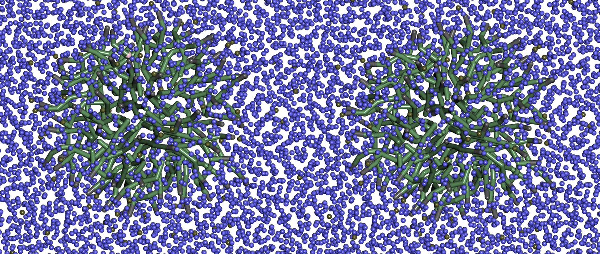 Scienomics's tweet photo. Mesoscopic systems (oleate/water) studied within MAPS complete mesocale environment. https://t.co/XFhcut9Je3