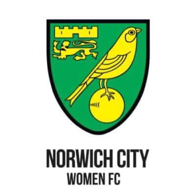 Perfor4Sport's tweet photo. Great to be involved tonight with @NorwichCityWFC. Our very own @LukePearce3 conducting an Injury Clinic at training with support from #Performance4Sport Co-Founder and NCWFC #PhysicalPreparationCoach @Matt_Stebbings ! https://t.co/pAV5sJY9to