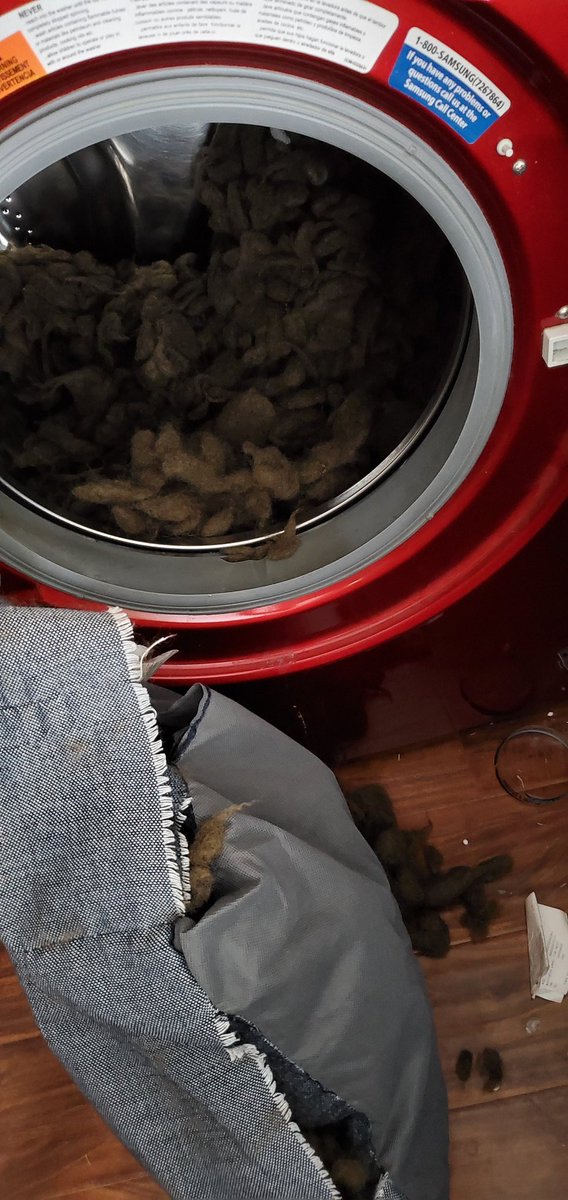 Sikamarutwin's tweet photo. Welp never again will I buy a #toppaw bed again.
Had to wash it and the stitching just came apart on the low cycle.
Now we need to get her a new bed. https://t.co/ON424CkmKE
