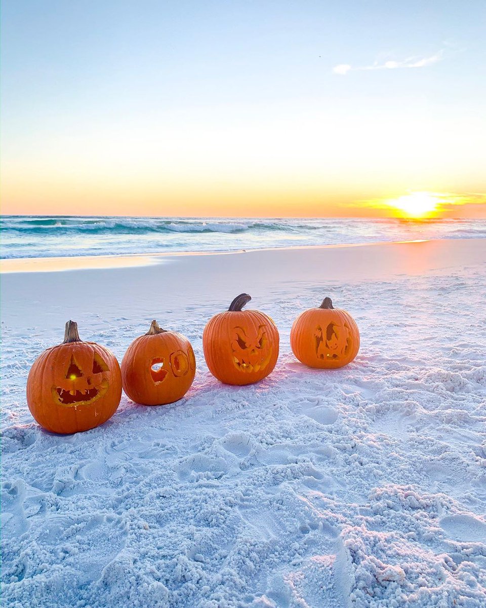 Happy Halloween 30a!

📷: @our_whitefarmhouse_
#30a #beach #halloween