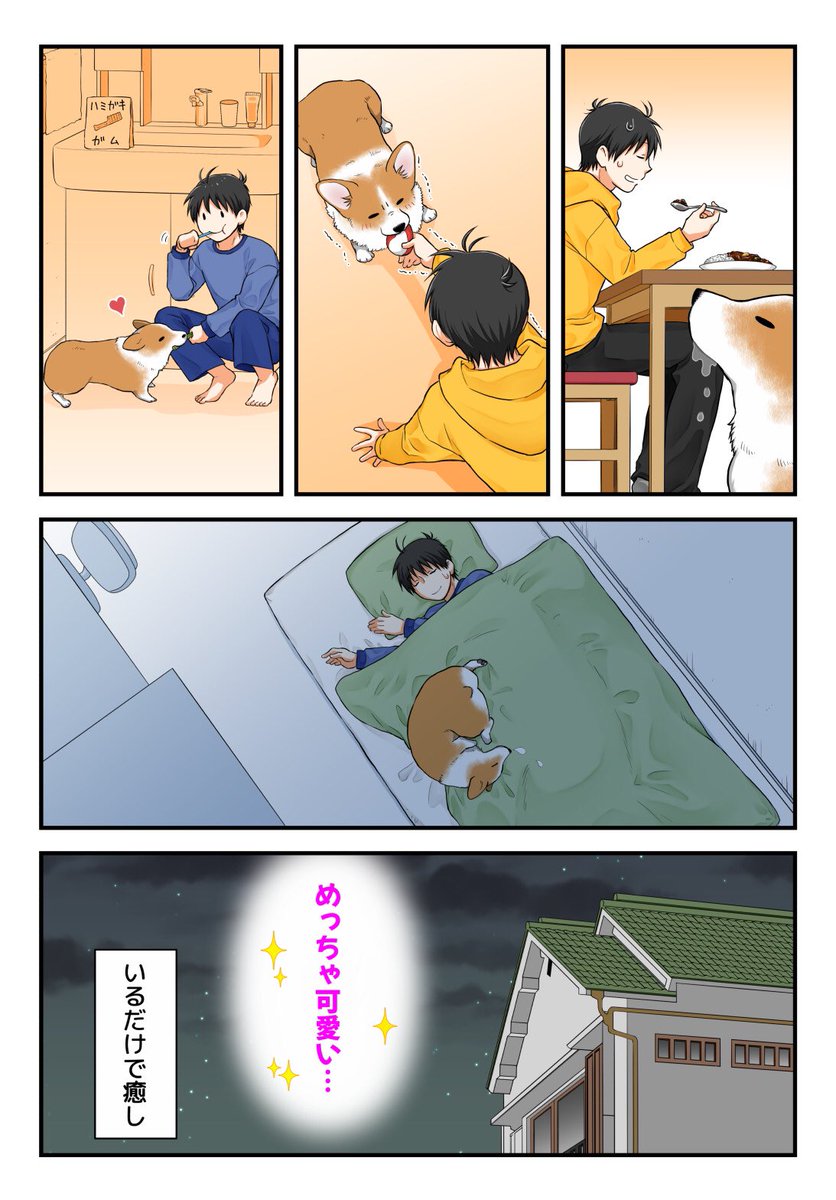 こんな感じで癒されています
 #犬の日 