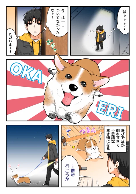 こんな感じで癒されています #犬の日 