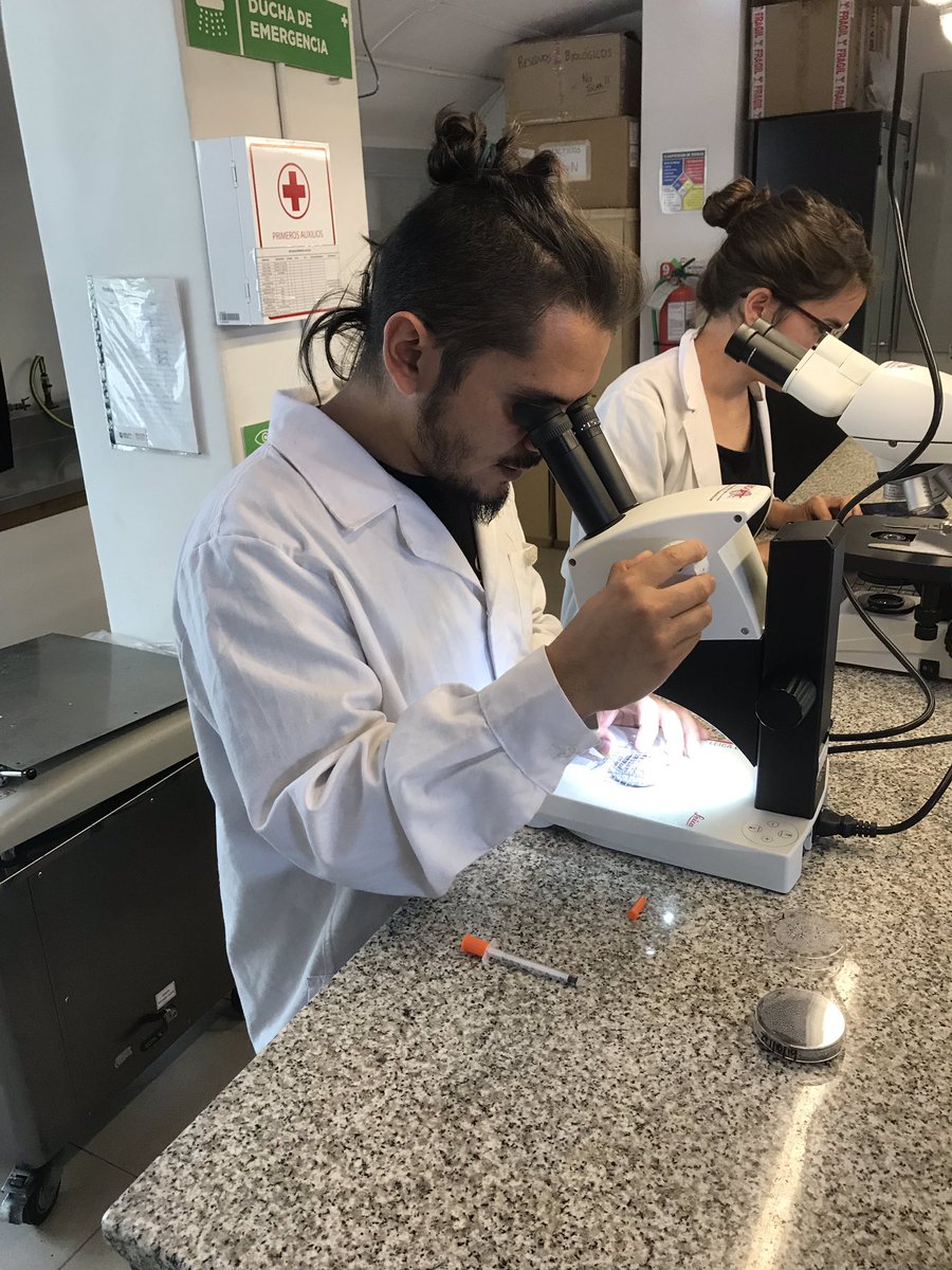 DrylandAlgae's tweet photo. #Biocostras Day 4 report: In the morning the ultimate fun factor was reached discovering diversity of biocrust #algae using light microscopy. In the afternoon students worked hard on analysis of data collected this week. #NMSUaces #soilbiodiversity #cyanobacteria #scienceisfun https://t.co/BAad0twiWb