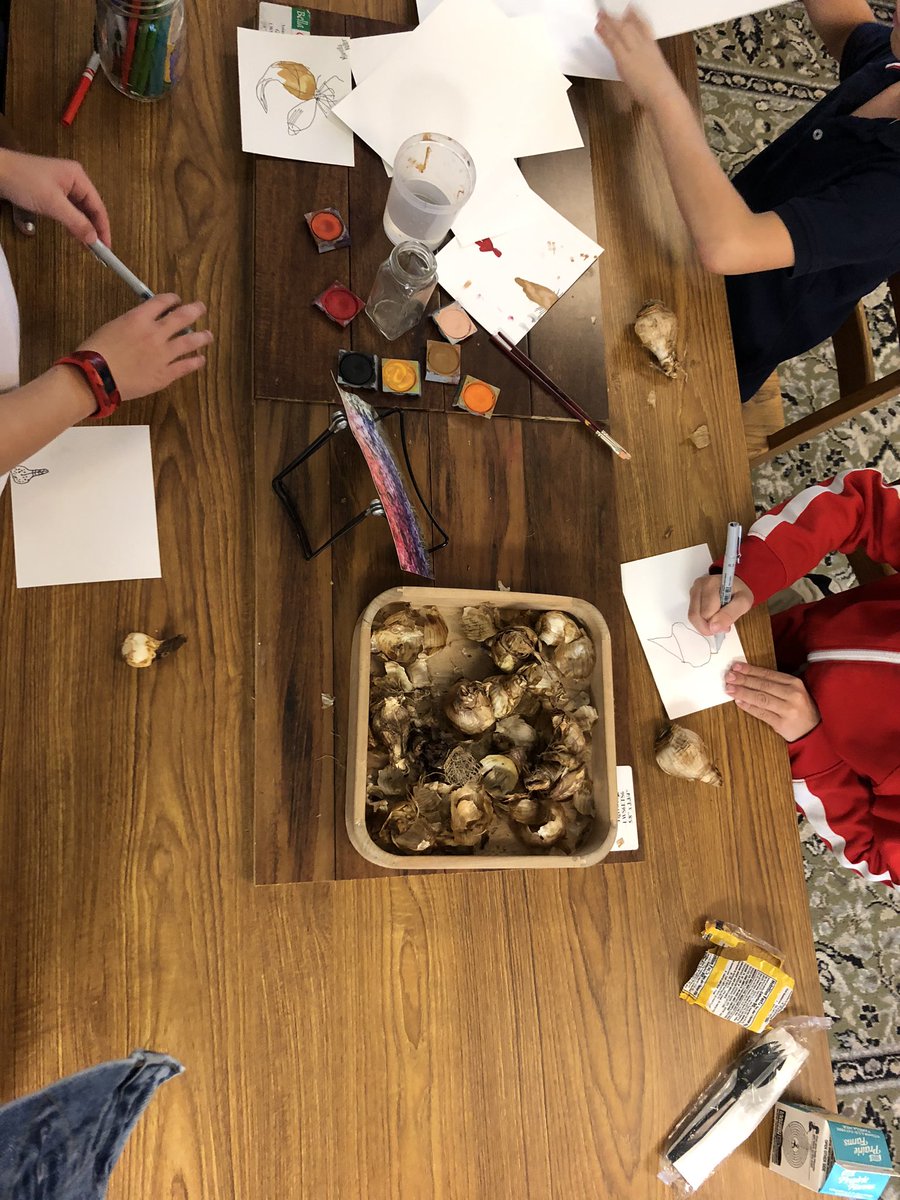 MissKBromley's tweet photo. These first graders are exploring how plants grow in all kinds of ways!🌷🌸🌱🌼 #GreatTeachingIN https://t.co/2BLaP60f5S