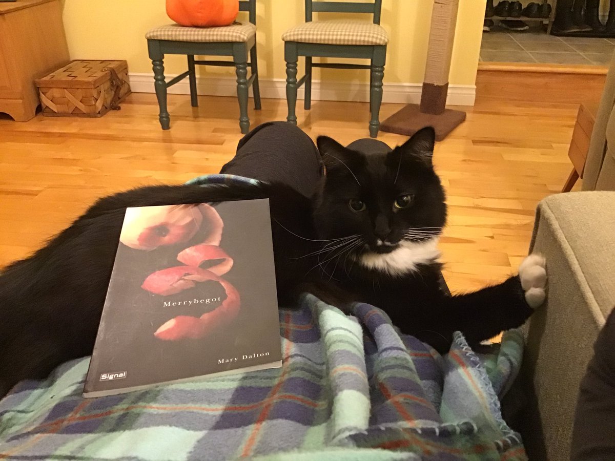 MaynardLara's tweet photo. @hallowreadathon @Emmabuzzybee Please tell the trick or treaters that I canโt come to the door now. Poesie would not appreciate it. We are reading and have a blankey. Thanks. #Hallowreadathon https://t.co/ZWaHmrl52a