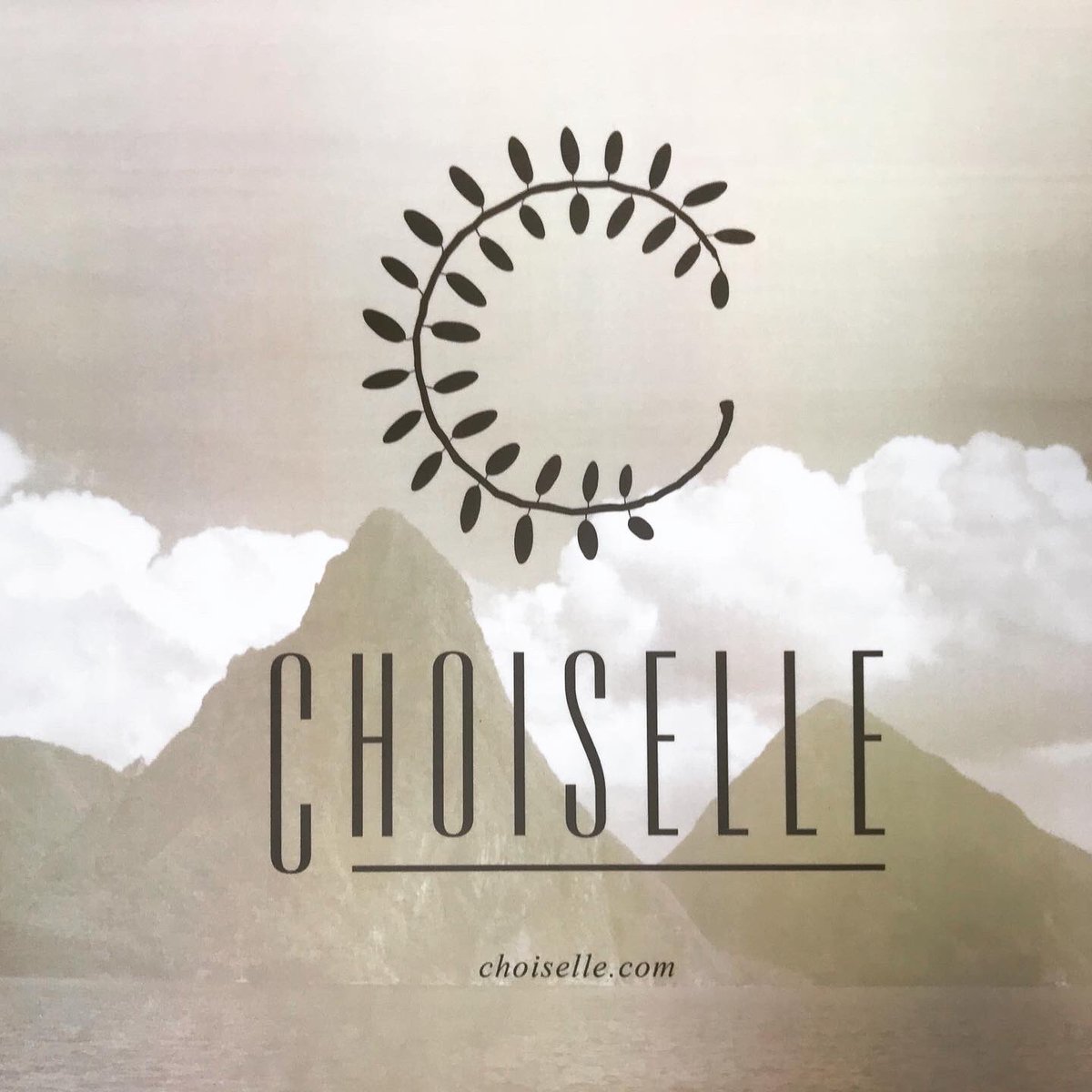 CHOISELLE tweet media