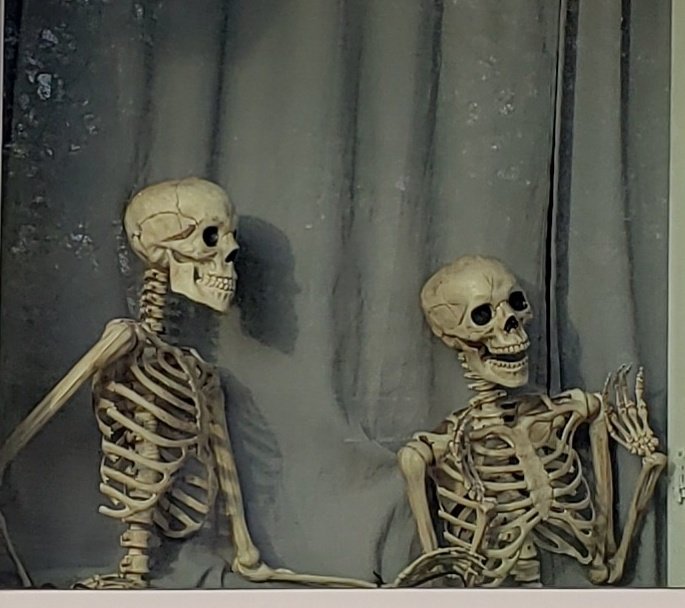 Zombies_r_fun's tweet photo. Happy Halloween! 🎃🦇☠ https://t.co/9EMOIv6ZAS