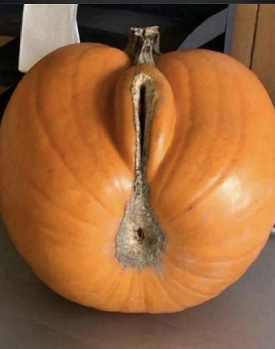 #HappyHalloween lol from https://t.co/vj9qsYT3KS  #CrazyPumpkin ☮️❤️🏸 https://t.co/fBzrgSamcE<a href="/tag/happyhalloween"class="tags">#HappyHalloween</a><a href="/tag/crazypumpkin"class="tags"><span>#crazypumpkin</span></a>
