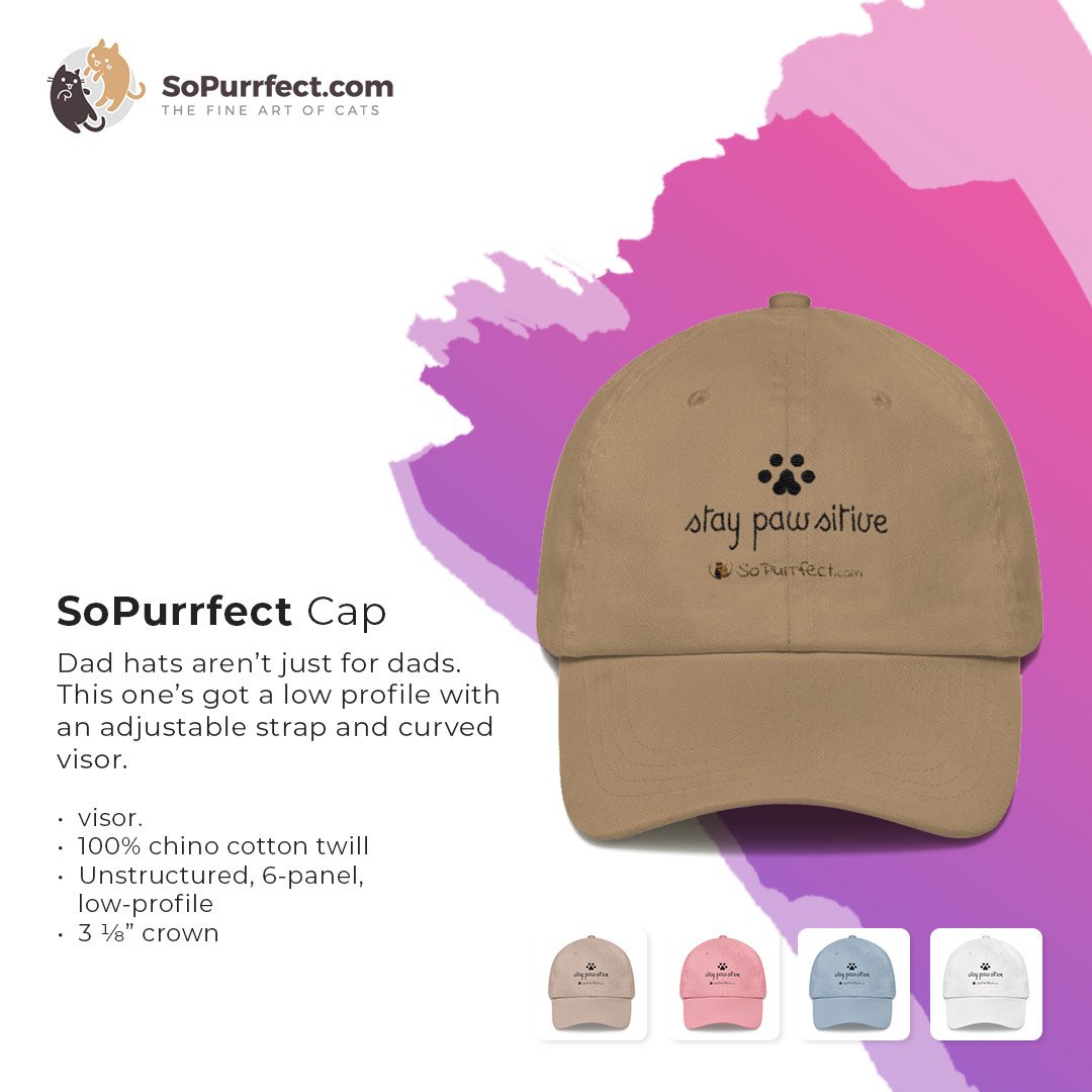 SoPurrfect's tweet photo. Stay cool literally and fashionably with this cap. Get your own now and wear your feline love!

#cutecat #SoPurrfect #sopurrfect https://t.co/3R0jUQ4waK