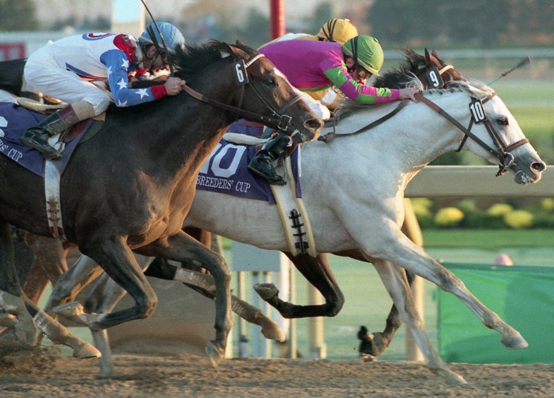 WoodbineTB's tweet photo. #ThrowbackThursday | Boston Harbor's win in the Juvenile. Alphabet Soup's upset in the Classic. Let's throw it back once more to #BC96 at #BetWoodbineTB. #BreedersCup https://t.co/j6HoRznx72