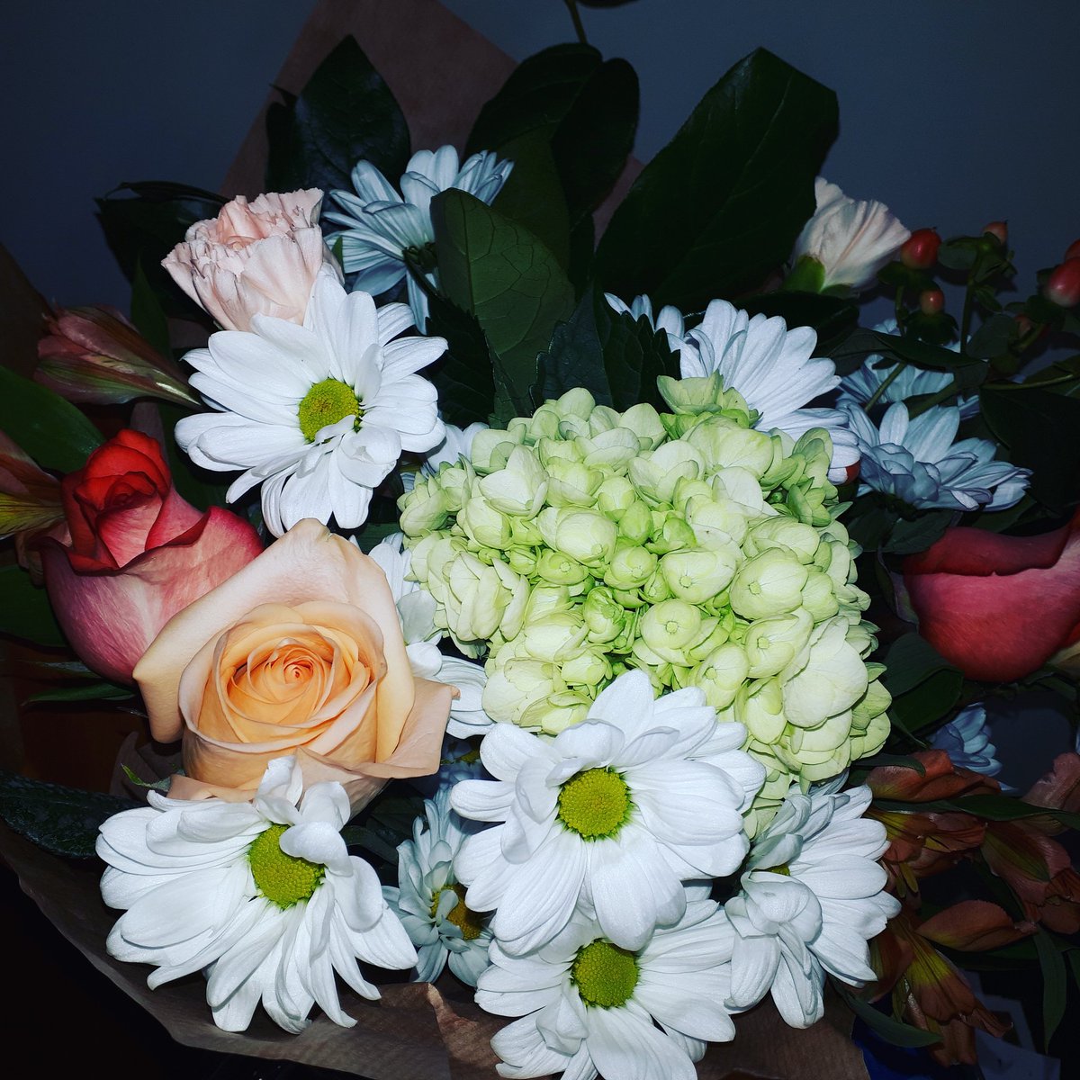 Aliin140's tweet photo. I have the best boss. She remembered my work anniversary ❤ 3 years in to working in #philanthropy and I'm still standing! 🌺 @afpns @HSFoundationSS https://t.co/xVzryTETfe