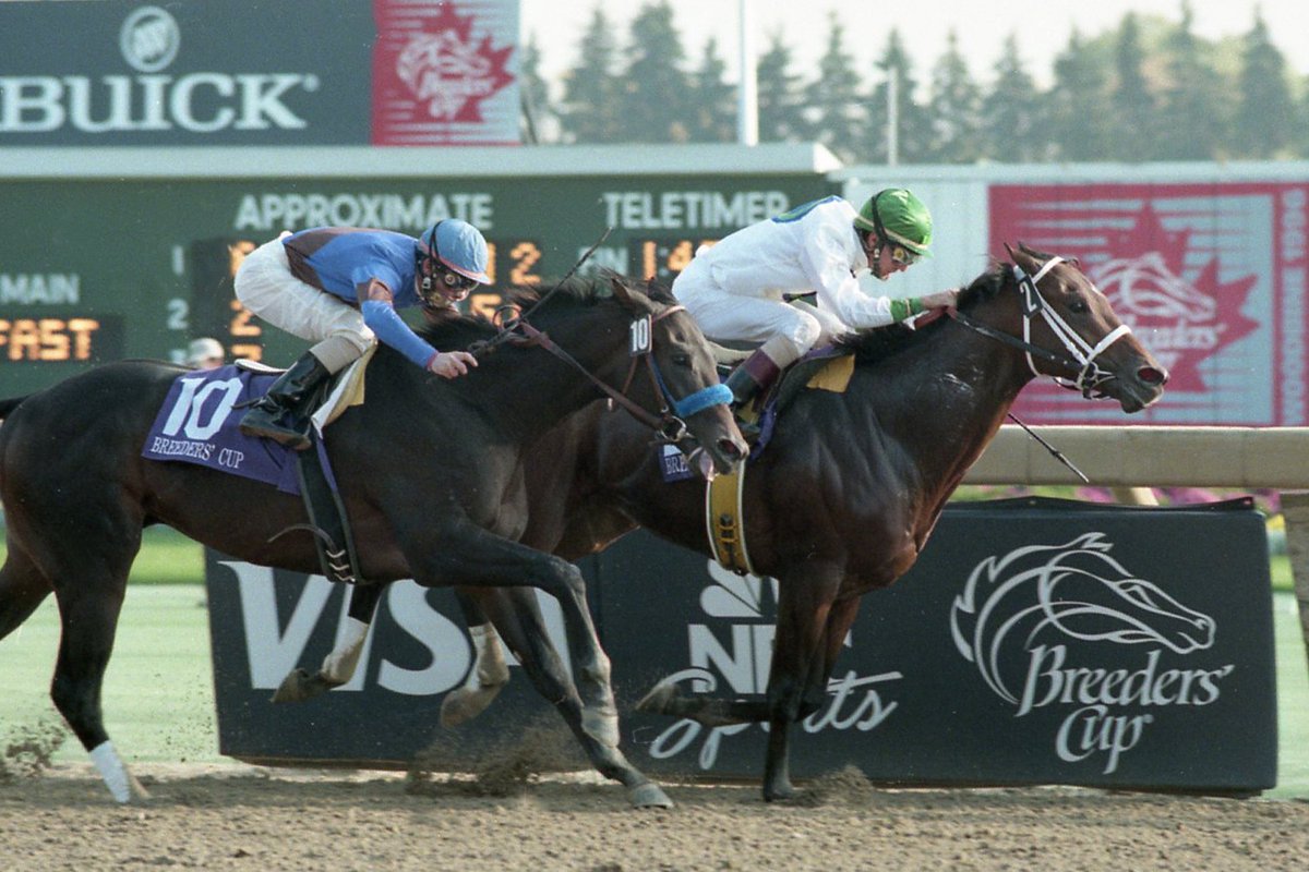WoodbineTB's tweet photo. #ThrowbackThursday | Boston Harbor's win in the Juvenile. Alphabet Soup's upset in the Classic. Let's throw it back once more to #BC96 at #BetWoodbineTB. #BreedersCup https://t.co/j6HoRznx72