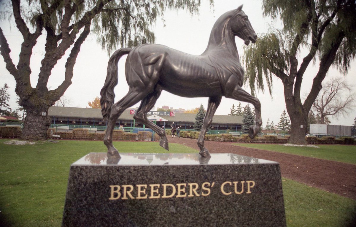WoodbineTB's tweet photo. #ThrowbackThursday | Boston Harbor's win in the Juvenile. Alphabet Soup's upset in the Classic. Let's throw it back once more to #BC96 at #BetWoodbineTB. #BreedersCup https://t.co/j6HoRznx72