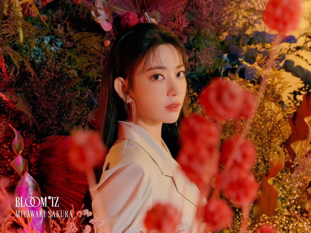 cheeerytae's tweet photo. some people mistook me as an izone stan but fortunately i am NOT , i only stan sakura miyawaki- yup im a solo stan, shes my oshi since akb48/hkt48 days along with sasshi, and mayu so i think that explains alot about my pfp

** https://t.co/6MGwHrB50Y