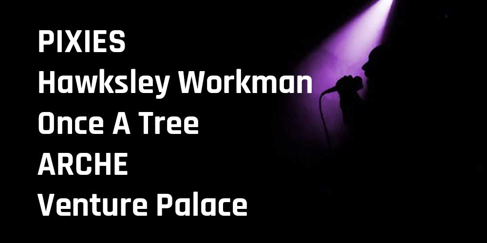 thereviewsarein's tweet photo. We've got a new music from @PIXIES, @HawksleyWorkman, Once a Tree, Arche, and Venture Palace. Check it out!
https://t.co/6JK3ScBgi6 #newmusic #OnceATree #VenturePalace #Arche https://t.co/LE2okGW7K9