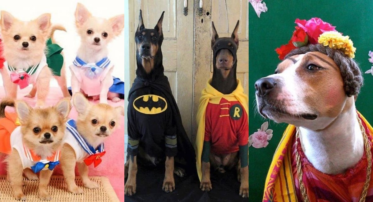 guardykan's tweet photo. Falta poco para que cierre nuestro concurso de disfraces. ¡No olvides tomar ideas de películas de terror! Mientras chécate estos adorables diseños.
#GuardyBeauty https://t.co/XcPME81DL2