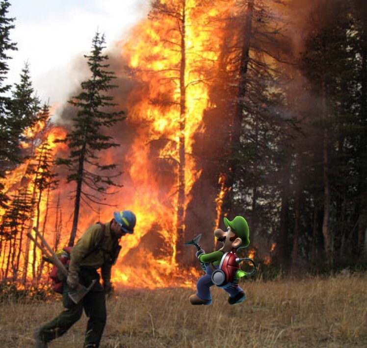Luigi selflessly tackling the devastating forest fires of California. He would later donate his entire fee for Luigi’s Mansion 3 to  #TeamTrees