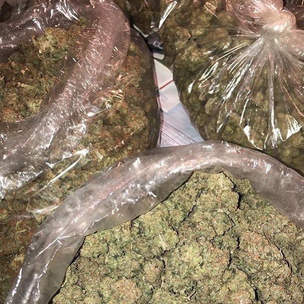 Wickr @ailesgoodman 
WhatsApp +1(410)231-3786
Snapchat @dreygo_s 
Telegram @morrisprodl 
#bonglife #gelato #kush #backwoods #hella #northeaststoners #smokelouduk #girlswhosmokeweedeveryday #budzbunny #budz #cali #hotgirl #smoke #weedporndaily #smokey #blazedbabes #blazedup