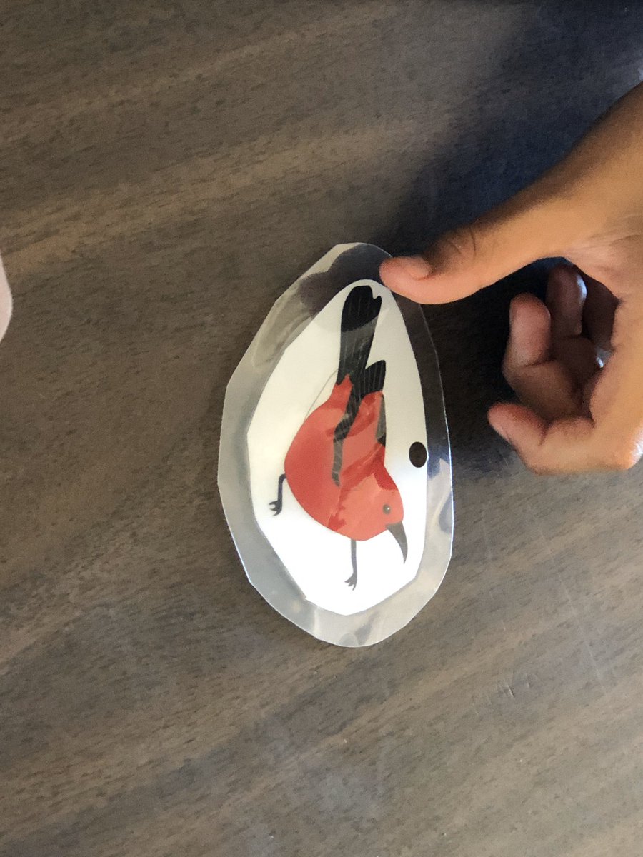 Thank you Kim Rogers from #kauaiinvasivespecies for visiting our 20% Time class to share about Rapid ʻOhia Death.  Lets Stop the Spread! #stoprapidohiadeath