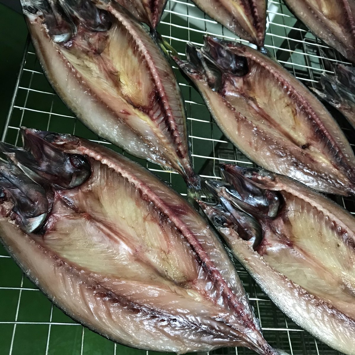 間宮商店 おはようございます 特別な木箱入りのギフト 凛 に入れる脂ののった縞ホッケが干し上がりました 今日は他にもたくさんの 魚種があります 金華サバより小さいサイズですが サバの開きも干し上がり つやつや綺麗です 間宮塩蔵 お歳暮 間宮商店 おはようございます 特別な木箱入りのギフト 凛 に入れる脂ののった縞ホッケが干し上がりました 今日は他にもたくさんの 魚種があります 金華サバより小さいサイズですが サバの開きも干し上がり つやつや綺麗です 間宮塩蔵 お歳暮