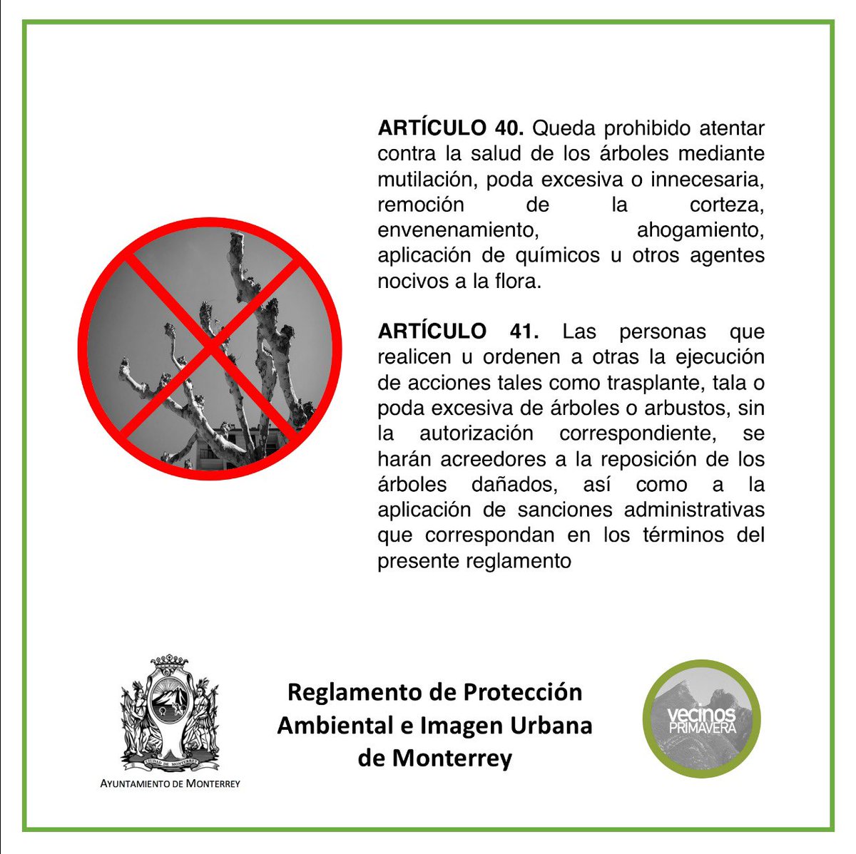 ColPrimavera's tweet photo. Ya estamos en el otoño 🍂. No se les olvide que está PROHIBIDA 🚫 la mutilacion y poda excesiva de los árboles👇🏼 https://t.co/wIi9KobCwe