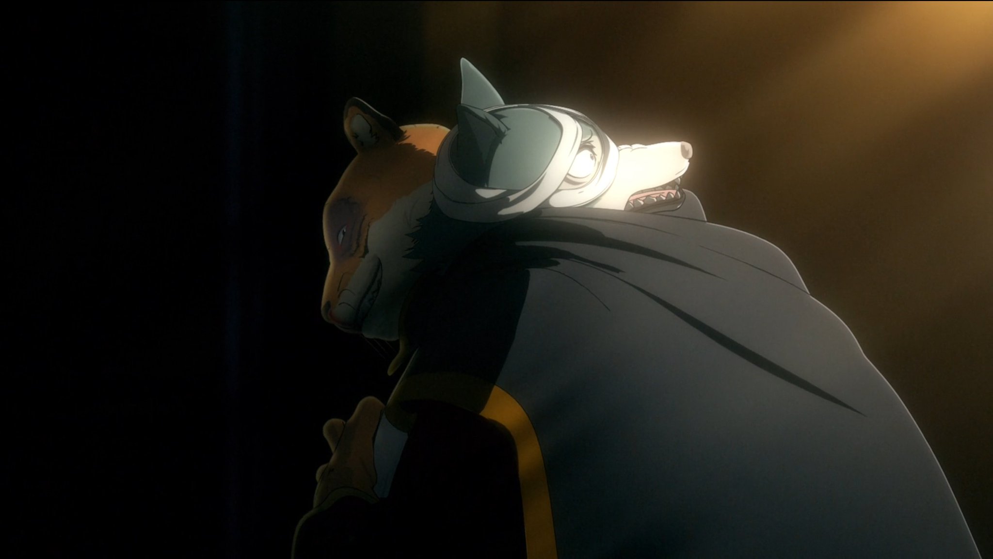 Aj Thank You Miura Beastars Is Absolutely Bloody Marvelous It S Totally Unbelievable How Beautifully Executed This Show Is Aj Thank You Miura Beastars Is Absolutely Bloody Marvelous It S Totally Unbelievable How Beautifully Executed This Show Is